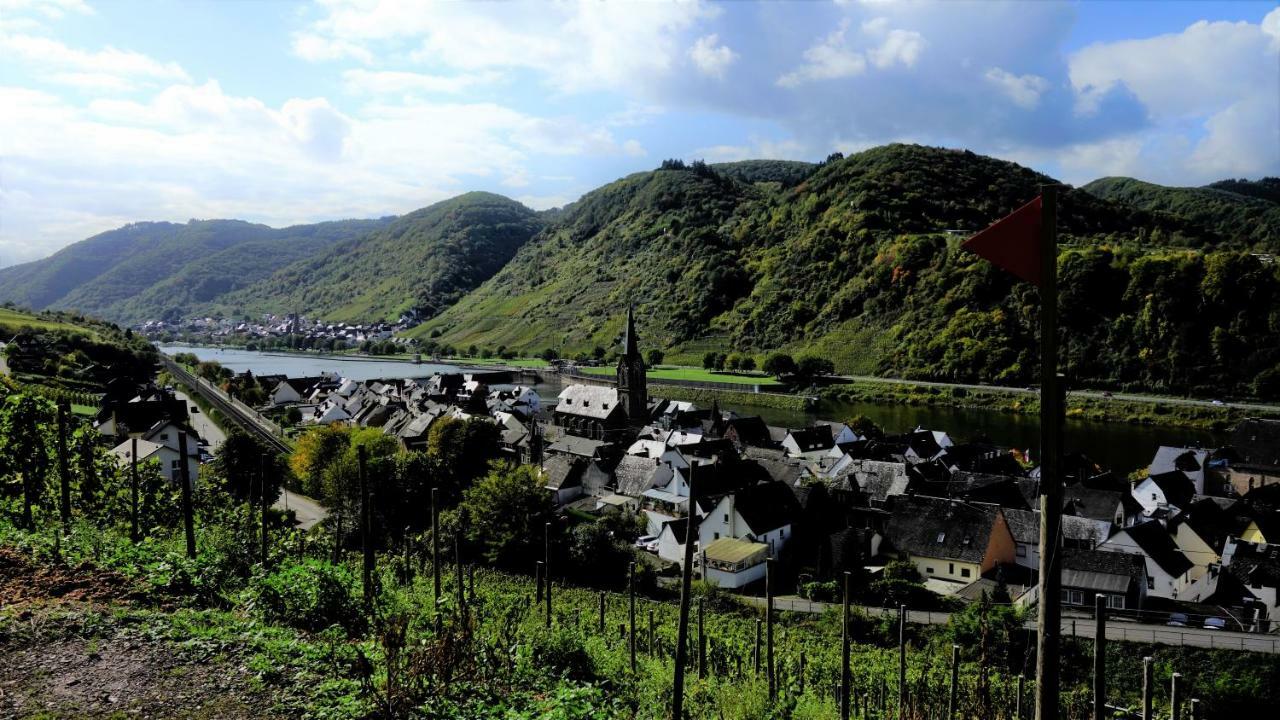 Ferienhaus Erich Bremm Mit Moselblick Neef 外观 照片