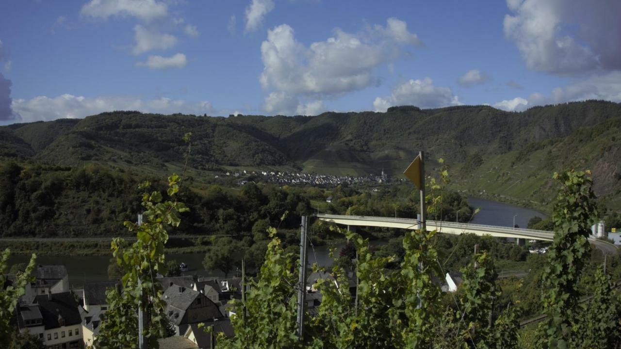 Ferienhaus Erich Bremm Mit Moselblick Neef 外观 照片